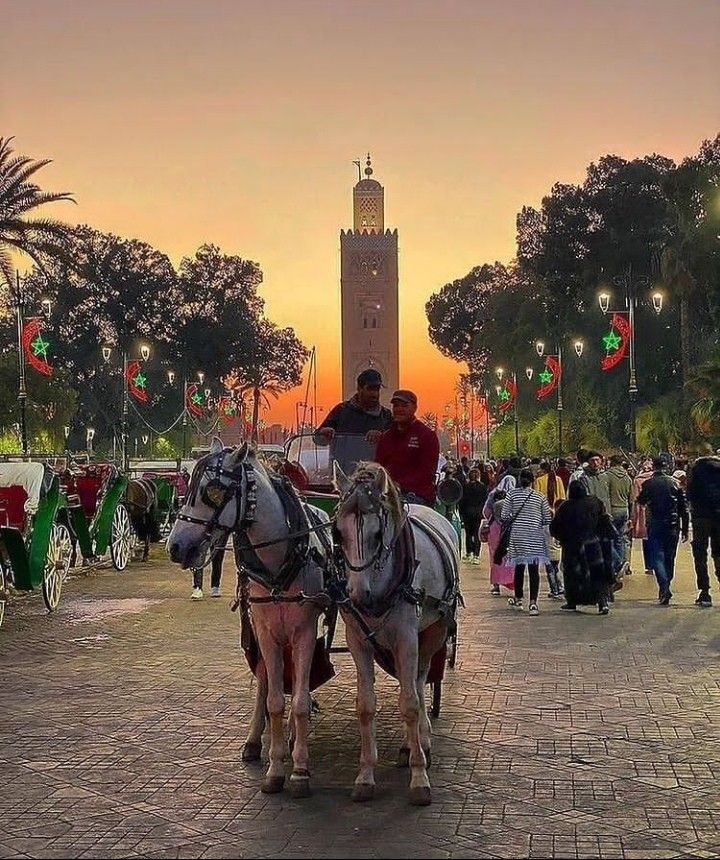 4 Days desert tour from Marrakech to Fes