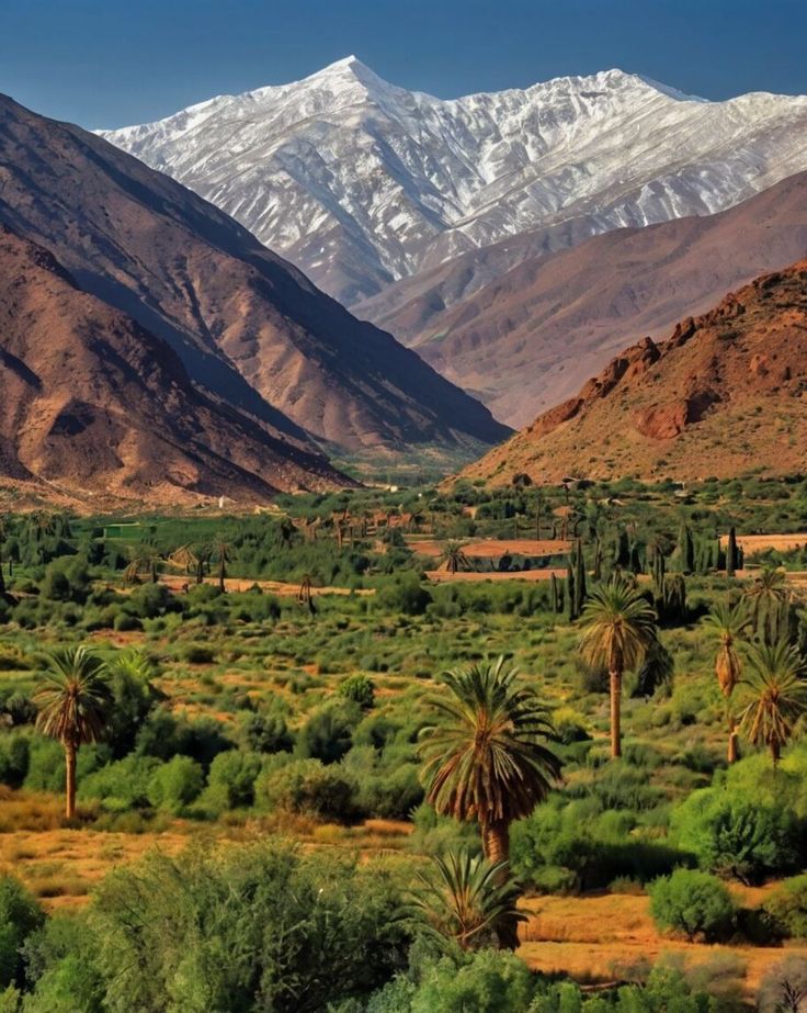 Atlas Mountains, Morocco_ A Visual Guide to Nature’s Splendor
