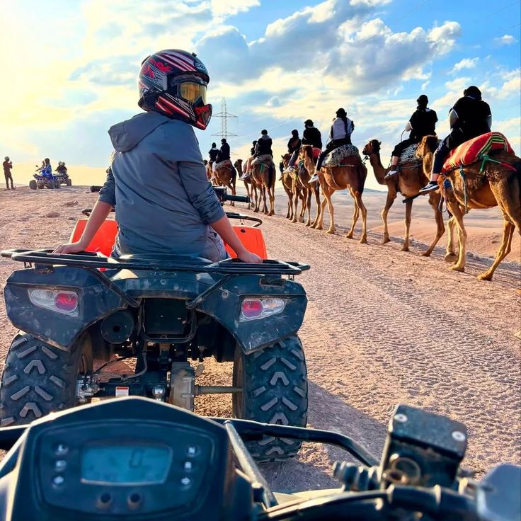 Quad camel and dinner show experience