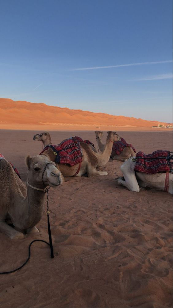 9 days desert tour from Marrakech
