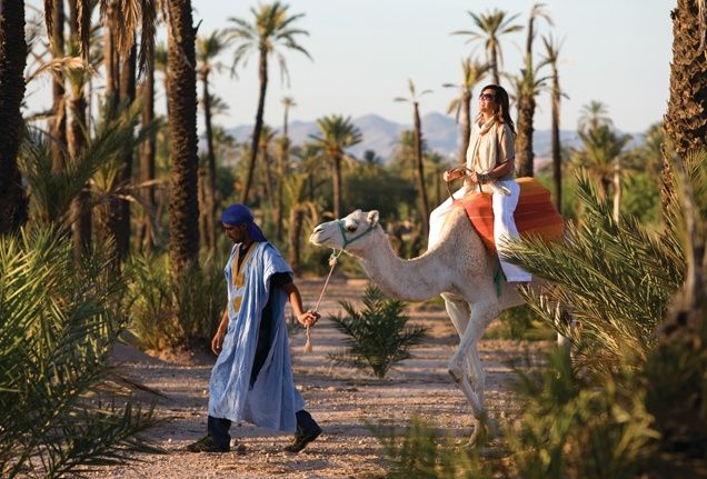 Take a camel ride through the beautiful…