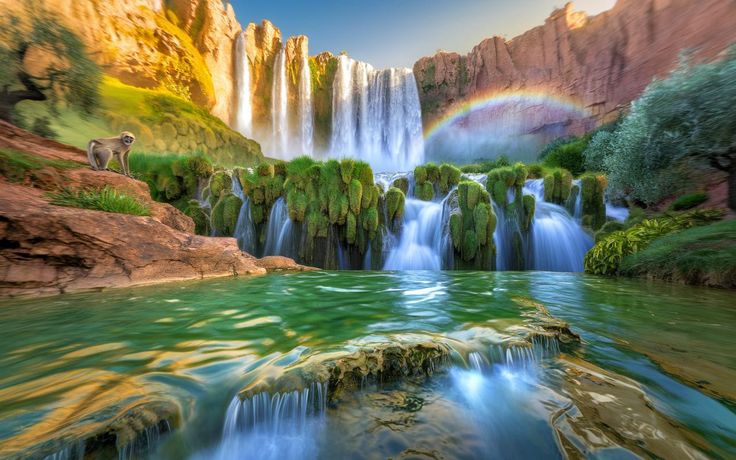 This hidden waterfall in Morocco drops 110 meters through ancient olive groves (where rainbow mis___