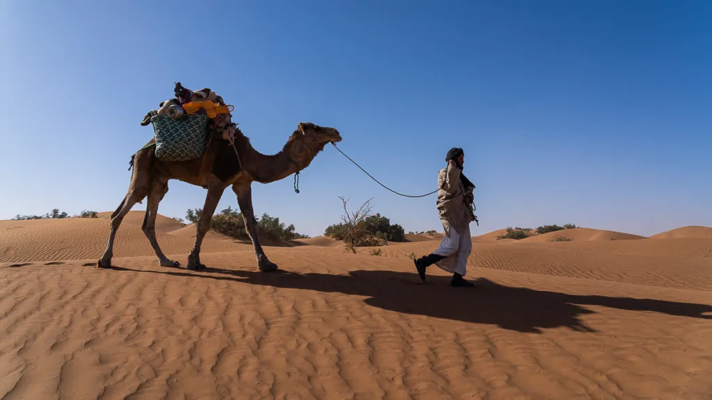 14 days tour around Morocco