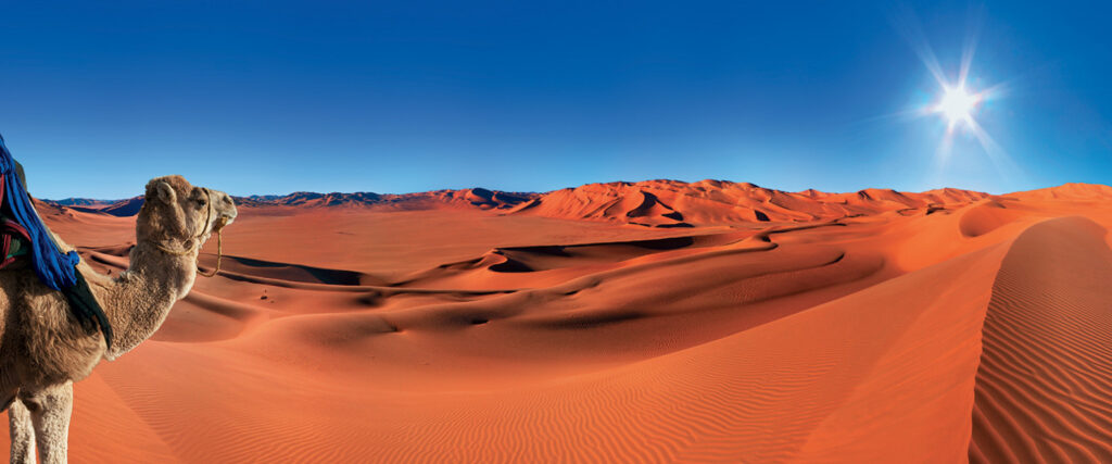 desert